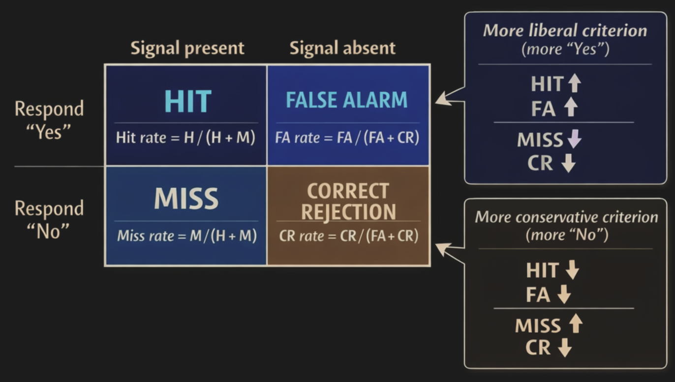Signal Detection Theory is a mathematical tool to find out whether an observer whose perceptual report we are measuring for (absolute or relative) thresholds is more prone to say “yes” versus “no” whenever they are in doubt because their perception was subtle.