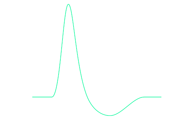 Diagram of an action potential. Action potentials are brief (~1ms) all-or-none impulses. That means they either occur or do not occur. And if they occur, they always more or less take on the same shape (they “look the same” on an oscilloscope). However, they are not just brief blips. Instead of a singular, brief, vertical line, they take on a somewhat more complex curved shape that contains several distinct periods of time. These main periods are: depolarisation: The brief period where the neuron changes in the polarity of its charge (i.e., neurons go from being negatively charged at rest to briefly having positive charge). repolarization: Following this brief rise in positive charge, the neuron returns to its usual negative charge (the resting potential). Interestingly, however, there is a brief period where this process “overshoots” and the neuron goes (even) more negative in charge than during rest. This period, where the neuron goes too negative and then returns to the resting potential is called hyperpolarization. Another term used for the time period of hyperpolarization is the refractory period, which indicates that the neuron cannot get excited again during this time. Only once the refractory period is over, can a neuron start another action potential (i.e., fire another spike).
