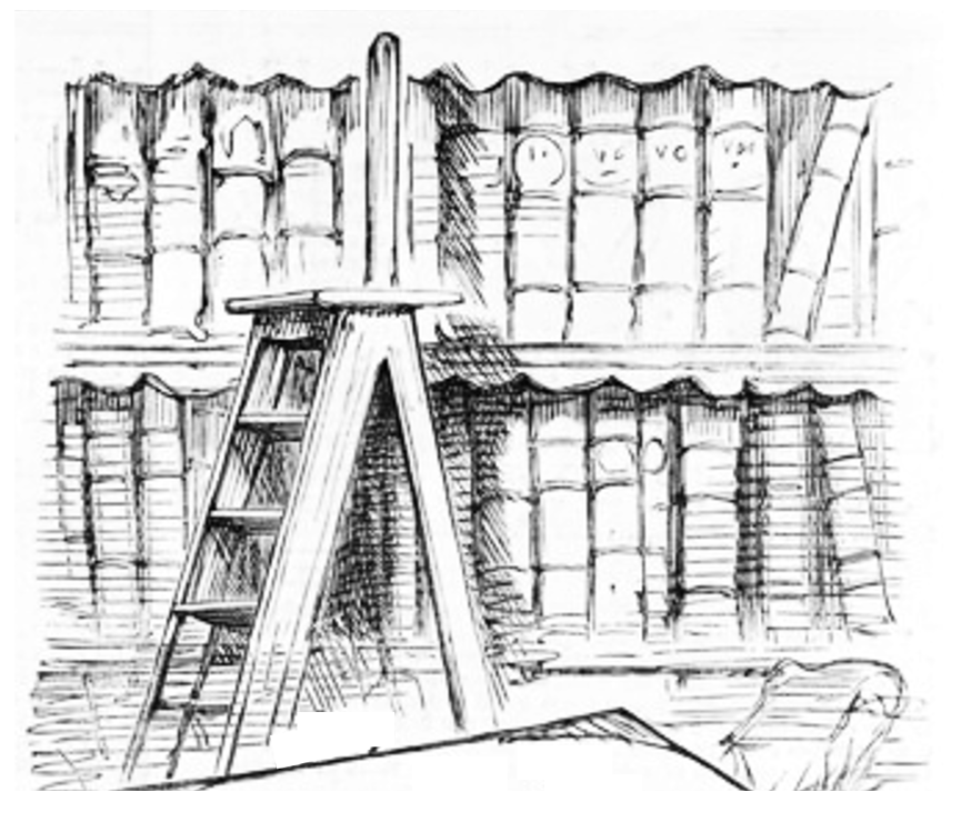 ladder