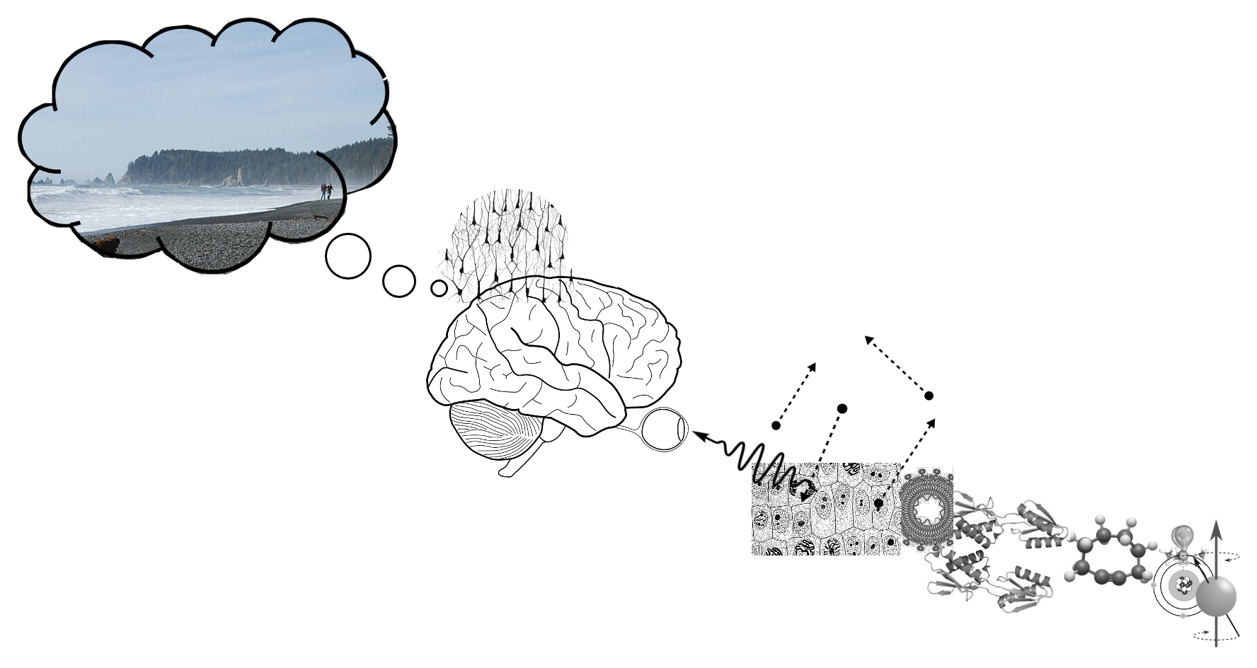The naturalistic worldview