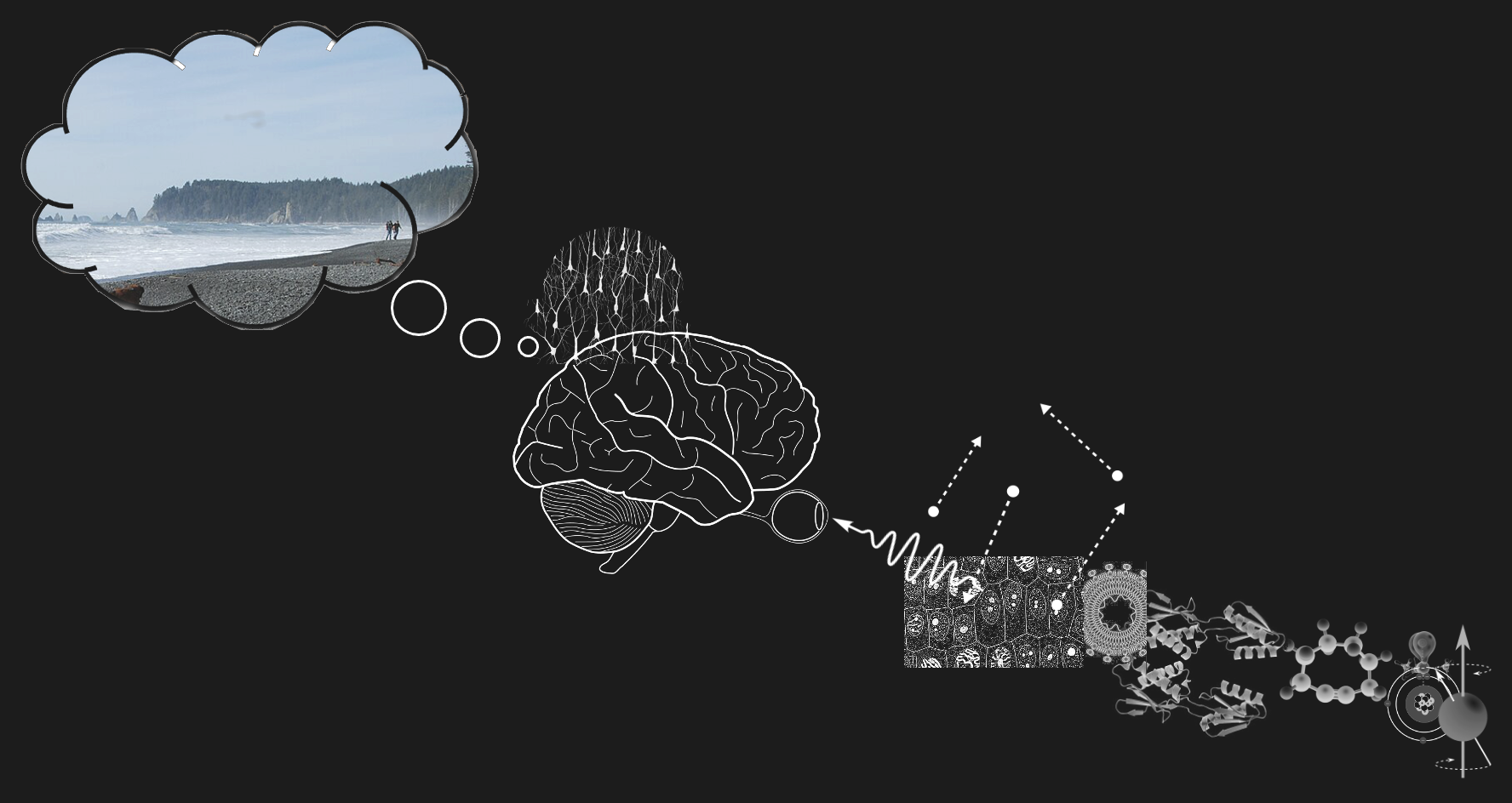 The naturalistic worldview