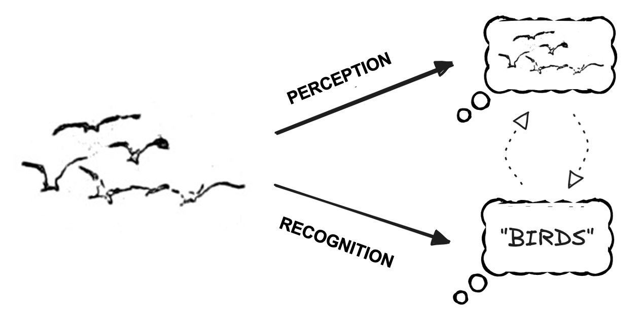 what perception is and is not