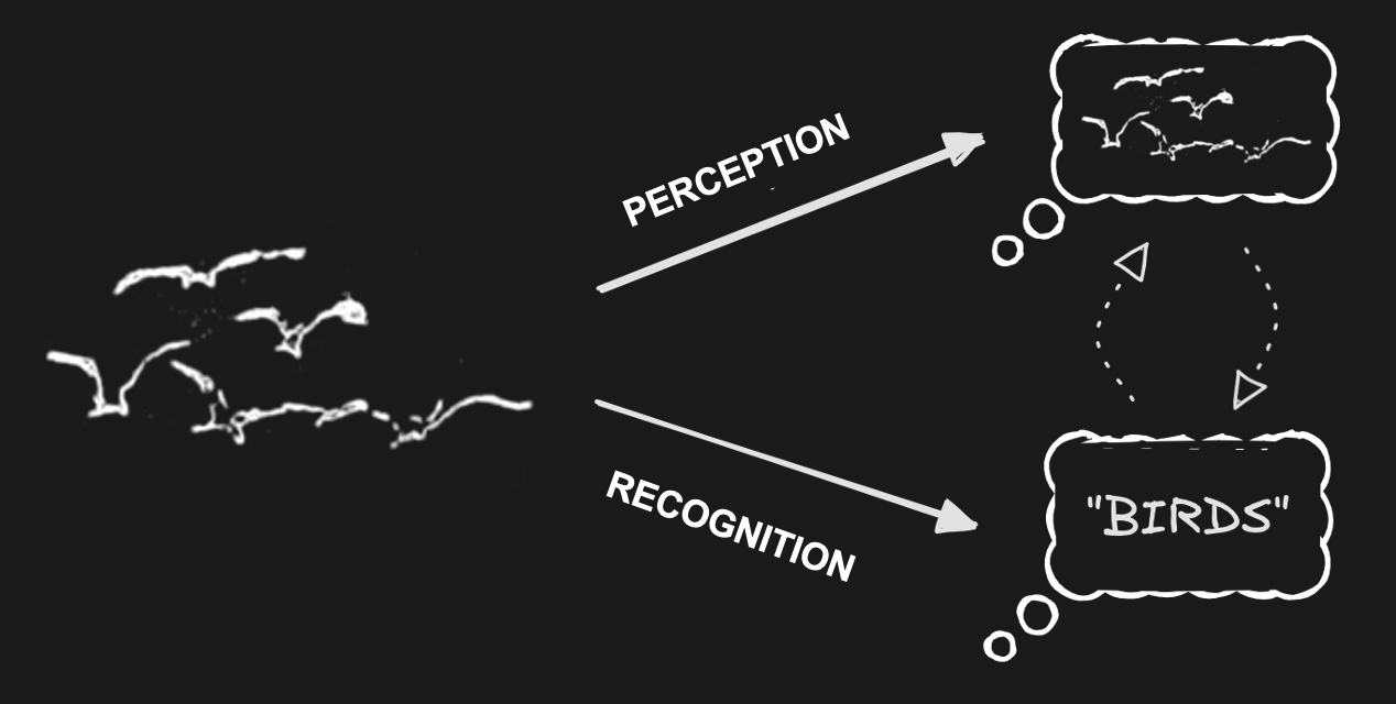 what perception is and is not