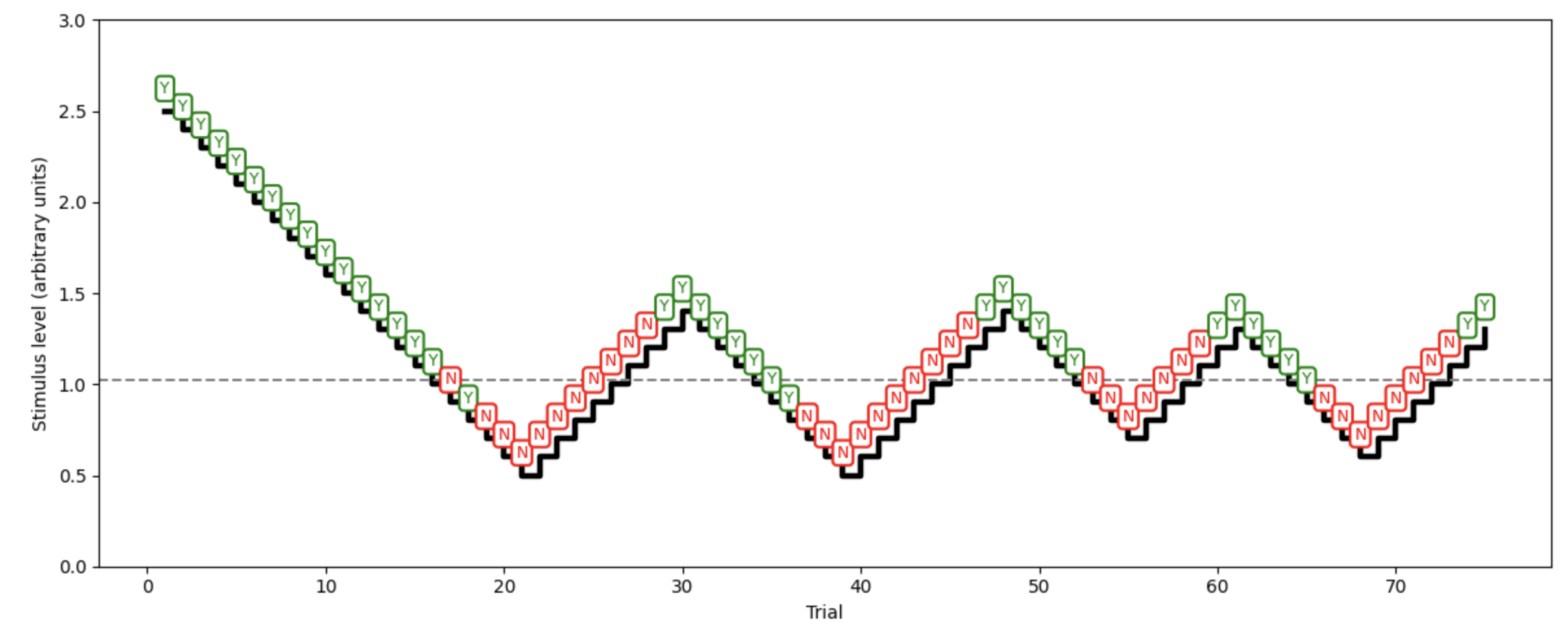 Staircase Design for measuring psychophysical thresholds. Each box shows a single stimulus presentation, followed by a yes (Y) or no (N) response. When the response was negative (Y), the stimulus gets reduced in intensity until the response turns negative (N) several times in a row, indicating that the threshold got crossed. In that case, the stimulus intensity is raised again. Once the threshold is crossed again, responses will turn positive (Y) again. This triggers a reversal of stimulus intensity again. This ascending and descending pattern is repeated until the 50% Y/N threshold can be computed as an average (mean).
