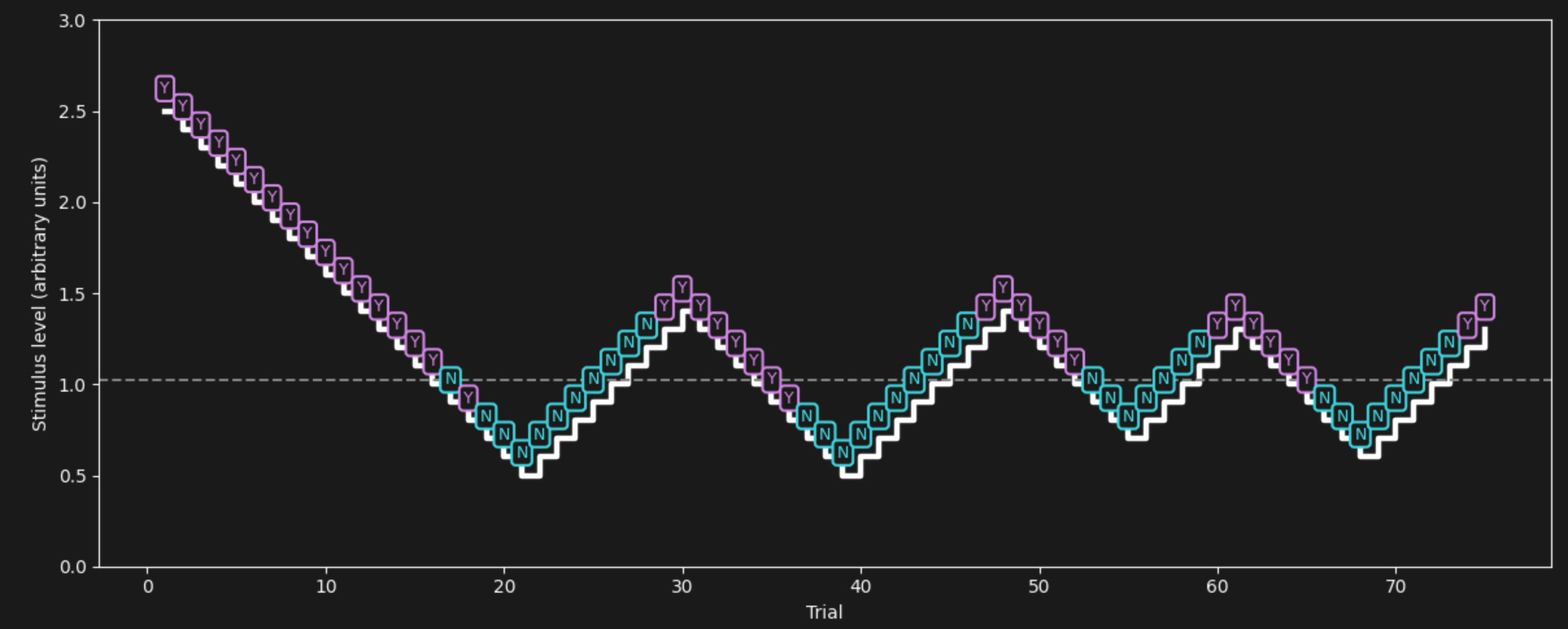 Staircase Design for measuring psychophysical thresholds. Each box shows a single stimulus presentation, followed by a yes (Y) or no (N) response. When the response was negative (Y), the stimulus gets reduced in intensity until the response turns negative (N) several times in a row, indicating that the threshold got crossed. In that case, the stimulus intensity is raised again. Once the threshold is crossed again, responses will turn positive (Y) again. This triggers a reversal of stimulus intensity again. This ascending and descending pattern is repeated until the 50% Y/N threshold can be computed as an average (mean).