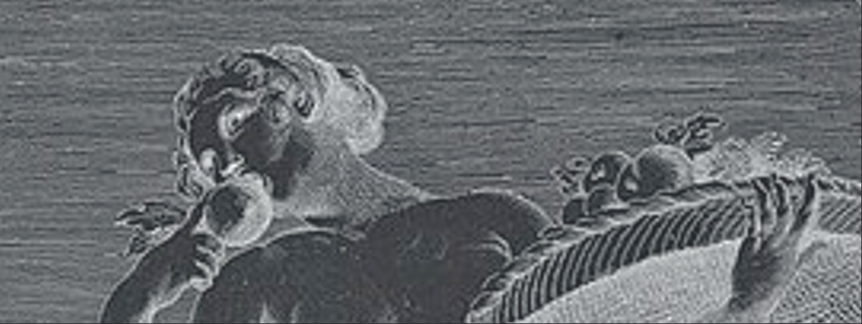 Taste is not the only sense that starts in our mouth.