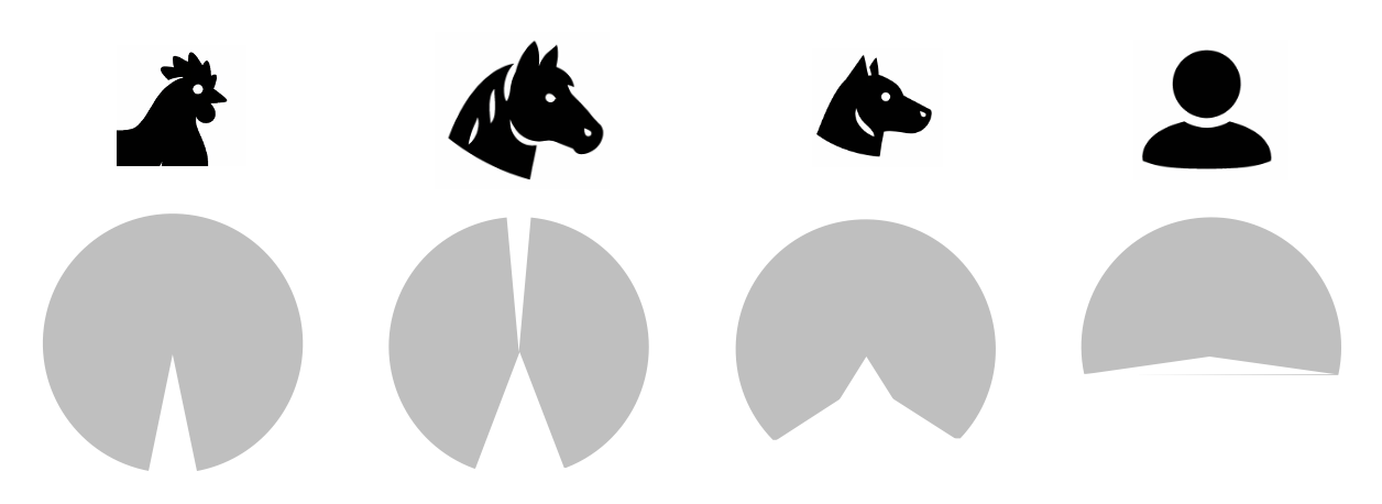 Visual fields (gray shade) of different animals shown along the horizontal plane (i.e., angle around the head that is visible to these animas).
