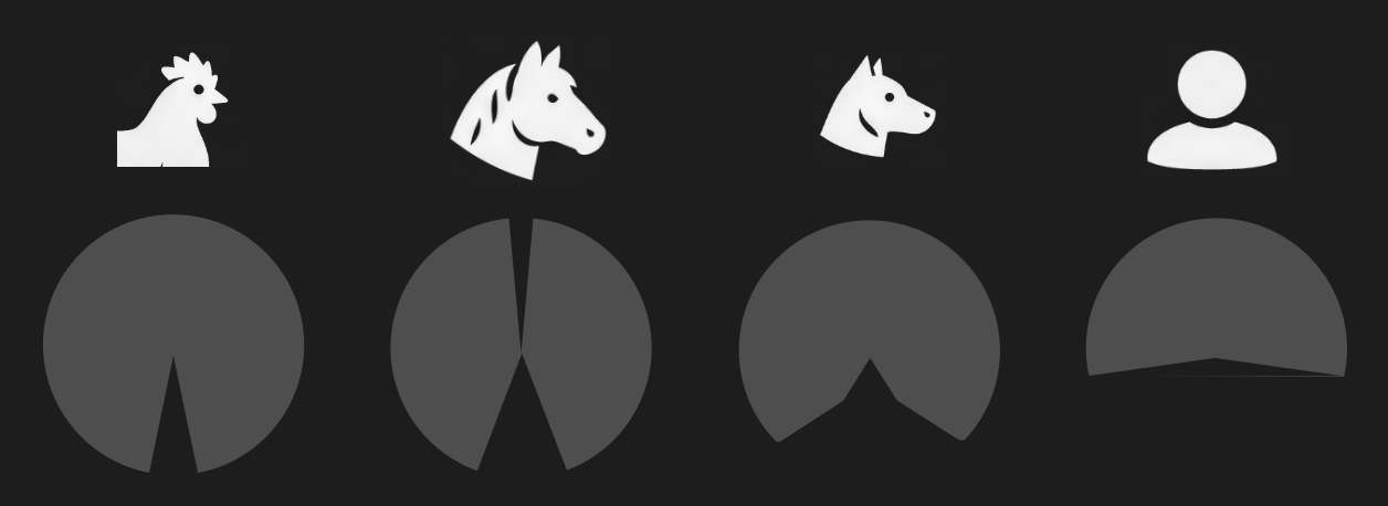 Visual fields (gray shade) of different animals shown along the horizontal plane (i.e., angle around the head that is visible to these animas).